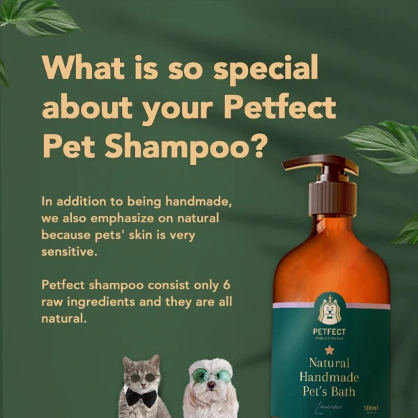 Handmade Natural Pet Shampoo Dog Shampoo Cat Shampoo Bath Shower
