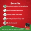 my-11134207-7r990-lyistg5sgrq8c9.webp DROOLS 100 VEGETARIAN DRY DOG FOOD