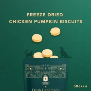 my-11134207-7ras8-mcjjr63586h124.webp Freeze dried Chicken Pumpkin Biscuits Pet Snack Dog snack and Cat snack Pet Treats