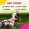 my-11134207-7rasc-m1hxohboytyf9e.webp PIXXIE Dog Rubber Bone