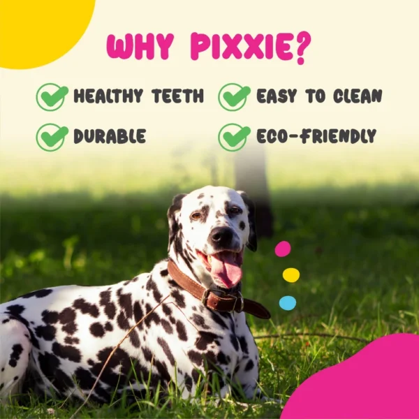 my-11134207-7rasc-m1hxohboytyf9e.webp PIXXIE Dog Rubber Bone
