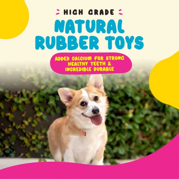 my-11134207-7rase-m1hxohbp08iv9a.webp PIXXIE Dog Rubber Bone