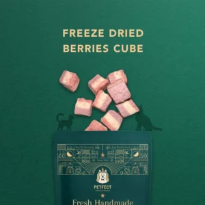 my-11134207-820l6-ml7xcq3wpsed12.webp Freeze Dried Berries Cube Pet Snack Dog snack and Cat snack Pet Treats