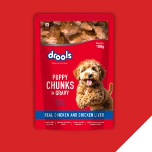 my-11134207-820la-mimjgmvslaf49a.webp DROOLS GRAVY DOG WET FOOD PUPPY 150g