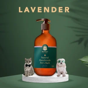 sg-11134201-22100-h6k70b12gmiv99.webp Handmade Natural Pet Shampoo Dog Shampoo Cat Shampoo Bath Shower