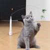 sg-11134201-82609-ml9qd1zngmbpe6.webp Cat Teasing Toy Interactive Butterfly Toy Removable Feather Cat Wand