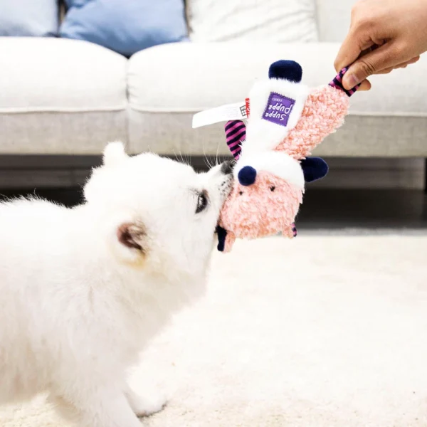 sg-11134201-8260d-mlim3wufx6v68f.webp Dog Toy Teeth Grinding Toy