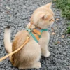 sg-11134201-82618-ml7y1cgf7if628.webp Anti Escape Vest Style Cat Harness Leash for Kittens Safety Buckle Reflective Pet Walking Strap